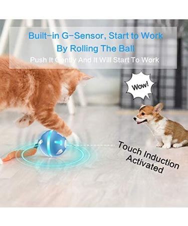 PetDroid Interactive Dog Ball Toy | Motion Activated & Durable | USB Rechargeable | For Puppy/Small/Medium Dogs - Buy Online on GoSupps.com