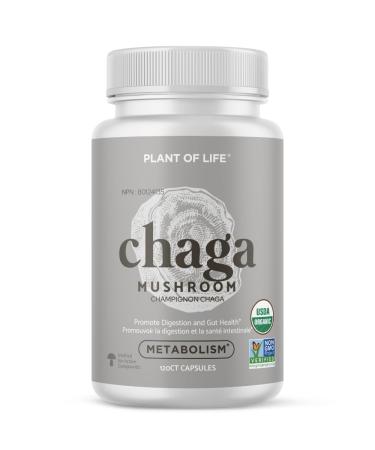 Plant of Life Chaga Mushroom Capsules | Digestion Anti-Oxidant Wellness Adaptogens | 100% Pure Organic Mushrooms | Vegan Non-GMO | 60 ct