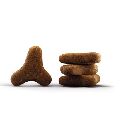 Josera Culinesse Cat Food 10kg | Super Premium with Salmon Oil for Indoor & Outdoor Cats | International Shipping - Buy Online on GoSupps.com