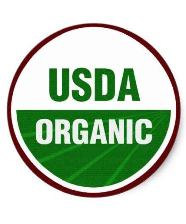 Organic Pecan Butter - Handmade, Keto Friendly, Gluten Free, USDA Certified, All Natural with Sea Salt - No Added Sugar - Buy Online on GoSupps.com