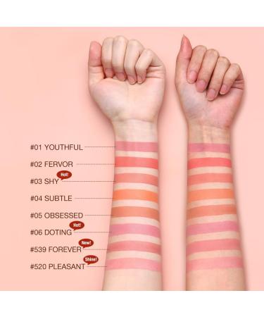 6 Colors Lipstick Glow Colour Bounce Blush Stick 3-In-1 Tint Buildable Waterproof Lightweight Blush Stick Cream Blends Perfectly Onto Skin Dainty For Eyes Lips & Cheeks Versatile Use (#04 Subtle) - Buy Online on GoSupps.com