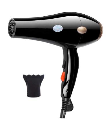 2200w Professional Salon Hair Dryer Powerful Blue-ray Negative Ionic Hairdryer AC Motor Infrared Heat Low Noise Blow Dryer with Concentrator 3 Heat 2 Speed Settings for Home and Salon Small Gift