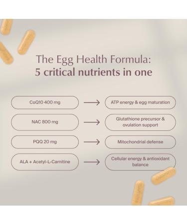 WeNatal Egg Quality+ Supplement. CoQ10 NAC PQQ L-Carnitine Alpha Lipoic Acid Methylated Folate B12 Zinc Vitamin C Supports Egg Health Fertility and Mitochondria 90 Capsules - Buy Online on GoSupps.com