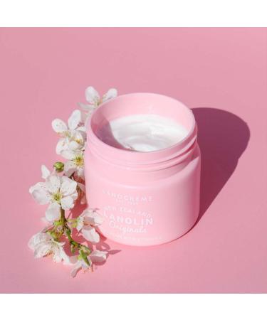 Buy New Zealand Lanolin Face Cream with Vitamin E - 100g (Pack of 3) | International Shipping Available - Buy Online on GoSupps.com