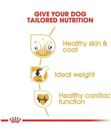 Royal Canin Dog Food Cocker Spaniel 12 Kg - Buy Online on GoSupps.com