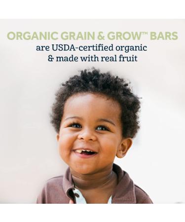 Gerber Organic Soft Baked Grain Bars, Raspberry Pomegranate, 5.5 oz (Pack of 8) - Healthy Toddler Snacks - Buy Online on GoSupps.com