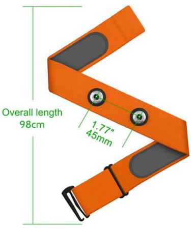 Buy Acfthepiey 2 x Elastic Heart Rate Chest Strap Bands for Geonaute H7 - Gray | Best Price & Fast International Shipping - Buy Online on GoSupps.com