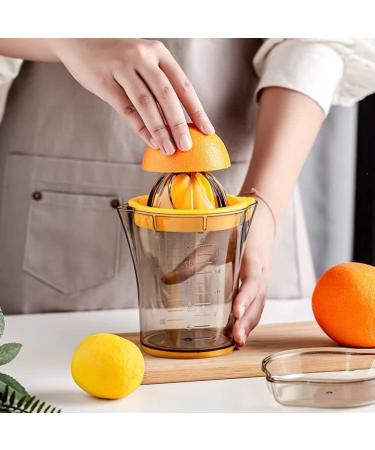 Ruihua DIY Mask Bowl Set Facial Skin Care Mask Mixing Bowl Measuring Spoons Spatula Application Bursh Skincare Tools set - Buy Online on GoSupps.com