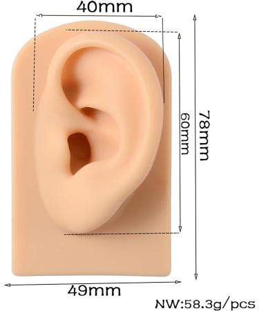 Silicone Acupuncture Ear Model Set for Science Class - Reusable & Anatomically Accurate - Buy Online on GoSupps.com