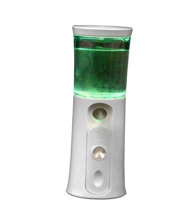 Baluue 1 Set Hydrating Instrument Face Moisturizing Sprayer Face Humidifier Handheld White Abs