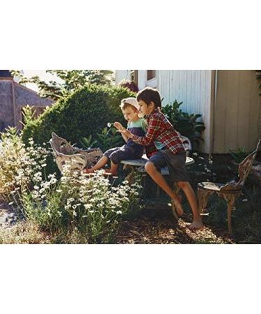 Cedar Bear Chamomile Calmer for Kids Liquid Herbal Supplement That Soothes Nerves Tummies Helps Promote Restful Sleep 2 Fl Oz (Pack of 1) - Buy Online on GoSupps.com