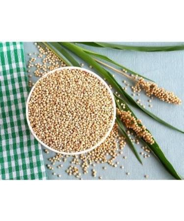 Fudco Whole Juwar | 500G | Sorghum Whole | Whole Sorghum Millet | Whole Grains | High Protein | Cholam | Millet Grains | Indian Origin | Each 500g | Pack Of 2 - Buy Online on GoSupps.com