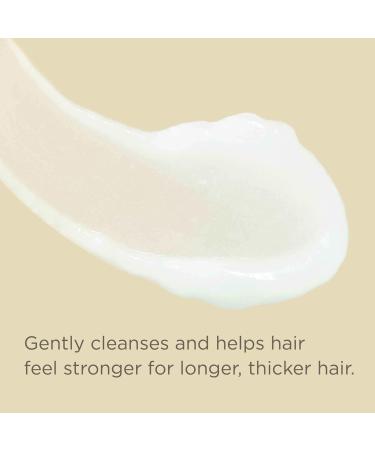 Hairitage Biotin Shampoo with Jamaican Black Castor Oil - Thickening Volumizing Sulfate Free Color Safe & Vegan - Hydrating Repair for Thinning Hair - 13 Fl Oz - Buy Online on GoSupps.com