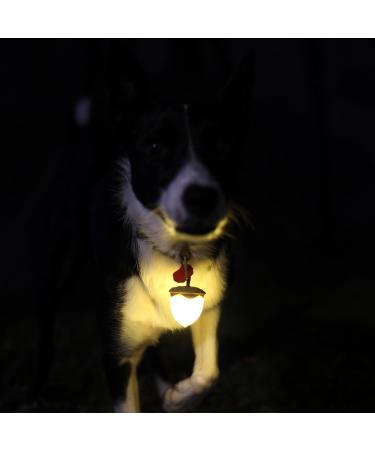 Laroo Security LED Flashing Light for Dogs & Cats - 3 Turn Signal Safety Light for Walking & Outdoor Sports - Rechargeable Green & Yellow - Buy Online on GoSupps.com