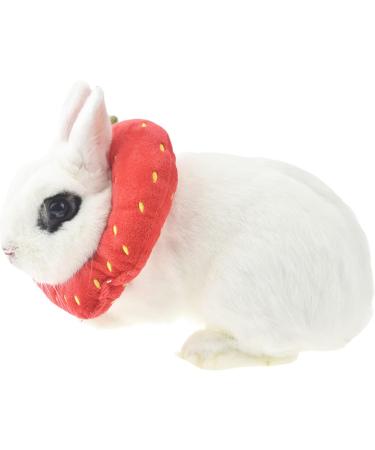 Buy Fladorepet Rabbit Protection Cone Elizabethan Neck Collars & Hasentoast Avocado Costume for Small Pets - Perfect for Recovery & Fun! - Buy Online on GoSupps.com