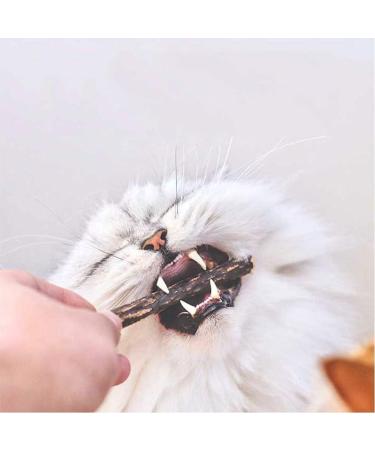 nuoshen 30 Pcs Chew Sticks for Cats Catnip Sticks Cat Sticks Cat Chew Toy Cat Teething Toys Natural Wood Sticks for Cats Play and Relax - Buy Online on GoSupps.com