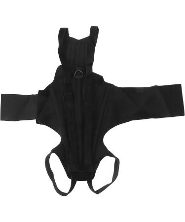 Dog Back Brace Adjustable Spinal Surgery Recovery Dog Back Bracer Comfortable for Slipped Disc (M) - Buy Online on GoSupps.com