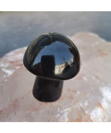 Natural Black Obsidian Mushroom Hand Carved Stone Mushroom for Home Decoration (Color : 1pc) - Buy Online on GoSupps.com