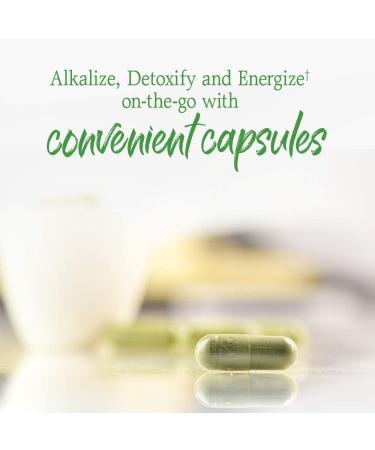 Garden of Life RAW Perfect Food Green Superfood - 240 Vegan Juiced Greens Capsules - Buy Online on GoSupps.com