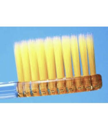 Atomy Toothbrush: Premium Quality Toothbrushes by Atomy in 4 Colors - Buy Online on GoSupps.com
