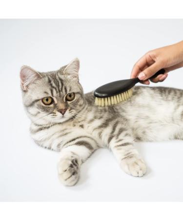 Lucybalu Cat Brush for Short & Long Hair | Vegan Animal Hair Grooming | Agave Fiber Bristles & Wooden Handle | Perfect Felting & Combing Tool for Cats - Buy Online on GoSupps.com