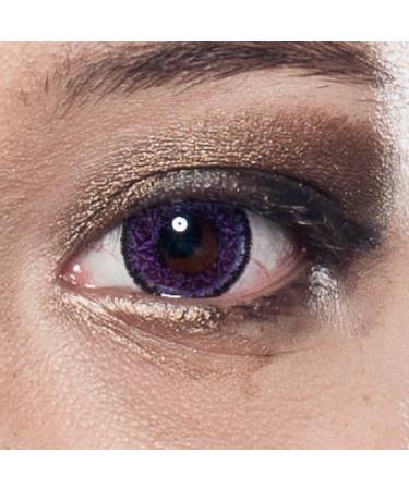 Buy Matlens Trendy Purple Violet Big Eyes Colored Contact Lenses - Nudy Pzx-215 | 2 Lenses + Container & 50ml Care Solution - International Shipping Available - Buy Online on GoSupps.com