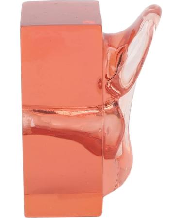 High Simulation Clear Right Ear Display Model - Transparent Acrylic for Observation | International Shipping - Buy Online on GoSupps.com