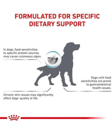 Royal Canin Veterinary Anallergenic 3 kg - Adult Dog All-In Diet | International Shipping Available - Buy Online on GoSupps.com