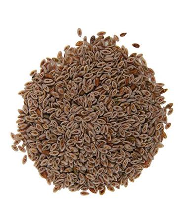 Frontier Co-op Organic Whole Psyllium Seed 1lb