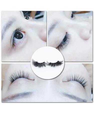 8 Pairs 25mm Waterproof False Eyelashes - Premium Eyelash Extensions for Stunning Eye Makeup - Buy Online on GoSupps.com