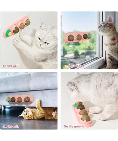 Buy Starroad-Tim Catmint Wallball for Cats | Natural Teeth Cleaning & Eating Toy - International Shipping Available - Buy Online on GoSupps.com