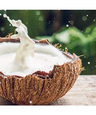 Maui Moisture Conditioner for Dry Hair | Coconut Milk & Aloe Vera | 385ml - Nourish & Hydrate Globally - Buy Online on GoSupps.com