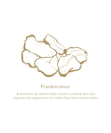 Enriching Daily Vitamin Face Oil 1 ounce - Superfood Antioxidant Rich Face Moisturizer with Vitamins A C E Essential Amino Acids Omegas 3 6 & 9 (USDA Organic & Natural Ingredients) LADIONE SKINCARE - Buy Online on GoSupps.com