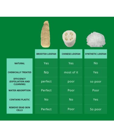 Brootsh Natural Egyptian Loofah - Large 23''-31.5'' Size with Acrylic Sign and Suction Cups | Exfoliates Skin, Reduces Cellulite | Beige - Buy Online on GoSupps.com