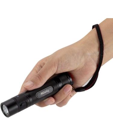 Alonefire SV005 395nm 10W LED UV Torch Blacklight Portable USB-C Rechargeable Flashlight Black Light Pet Urine Detector with Aluminium Case Battery Included for Pet Stains Hunting Fishing Minerals - Buy Online on GoSupps.com