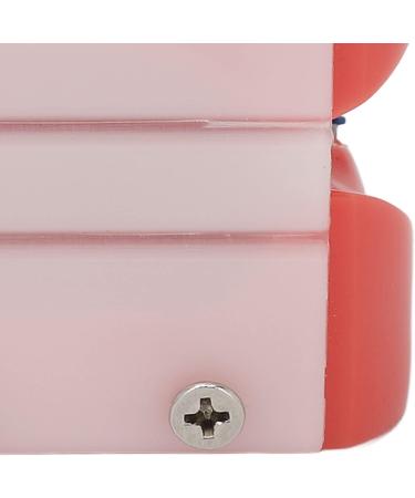 Buy Verdant Touch Metal Wires Tooth Model - 24 Teeth Semi-Metal Orthodontic Display | International Shipping Available - Buy Online on GoSupps.com