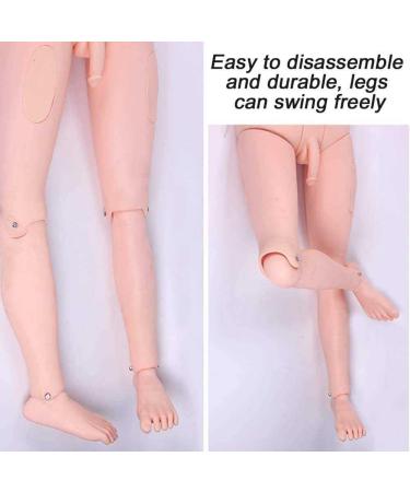 ZYDZ Life-Size Patient Care Model | Interchangeable Male & Female CPR Simulators | International Shipping Available - Buy Online on GoSupps.com