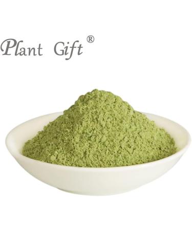 Plant Gift 100% Pure Lotus Leaf Flour Natural Powder of Lotus Leaves Great Taste for Drinks Smoothies Baking Cookies Cakes and Drinks 100g/3.25oz - Buy Online on GoSupps.com