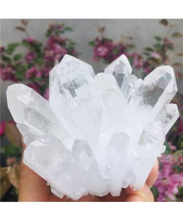 Natural Clear Quartz Crystal Cluster Minerals for Reiki Stone Home Furnishing Decoration Suitable for Furniture Decoration Full of Texture (Size : 700-800g) - Buy Online on GoSupps.com