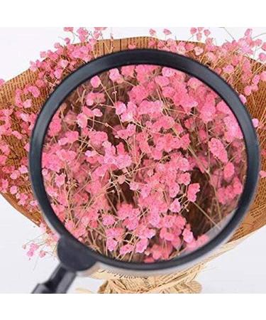 Portable Handheld Magnifying Glass Jumbo Size 5X Reading Magnifier Compatible with Books Newspapers Maps Coins Jewellery Hobbies Crafts Made in China - Buy Online on GoSupps.com