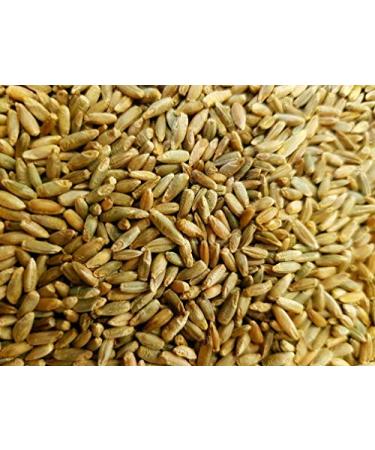 WIDU Bio Waldstaudenroggen 2 5 KG - Ganzes Korn f r Backen | Hochwertiges Getreide f r internationale Lieferung - Buy Online on GoSupps.com
