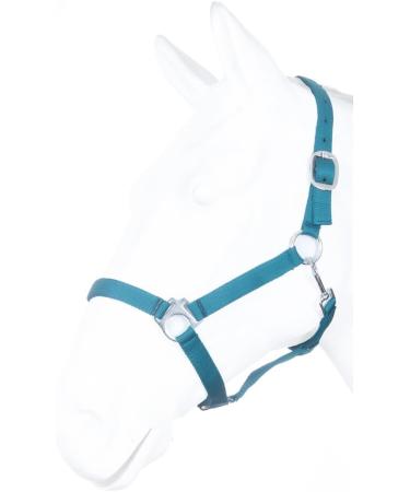 RL24 Nylon Halter BASICLINE Petrol for Shetty - Durable & Stylish Horse Gear | International Shipping - Buy Online on GoSupps.com