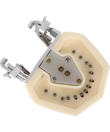 ZCBYBT Dental Preparation Model - 28 Replaceable Oral Practice Teeth & Soft Gums | International Shipping Available - Buy Online on GoSupps.com