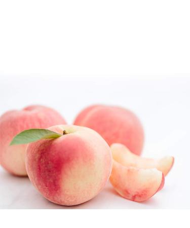 EVERYDAZE Collagen + Vitamin C Konjac Jelly - Peach Flavor | 10 Packs | Vegan, 10 Calories, 0 Sugar | Healthy Diet Drinkable Snack for Weight Management - Buy Online on GoSupps.com