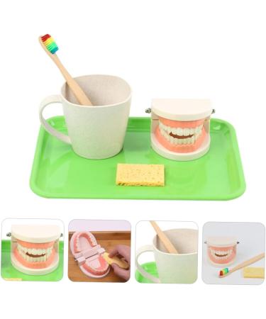 Buy Beavorty Learning Toothbrush Toys for Early Teething | Pedagogical Tooth Cleaning Model for Preschool - Buy Online on GoSupps.com