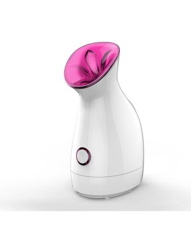 Humidificateur Facial usage domestique vapeur professionnelle Nano ionique vaporisateur chaud pour r duire les rides hydratant C