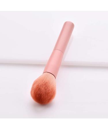10PCS Pink Wooden Cosmetic Brush Set - Foundation Eyebrow & Eyeshadow Brushes for Flawless Makeup - Buy Online on GoSupps.com