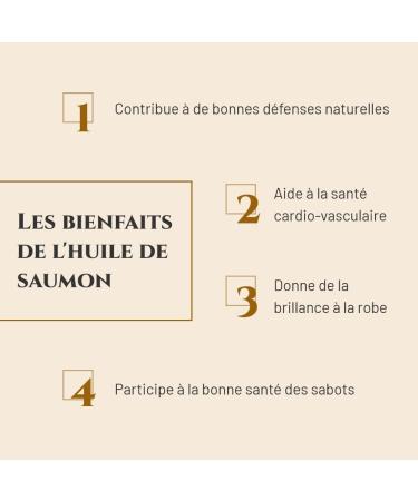 PRINCE EQUIN - Salmon oil - Horse nutritional supplement - 1 L bottle - Horse immunity - Beauty and shine of hair - Cardiovascular health - French brand - Buy Online on GoSupps.com