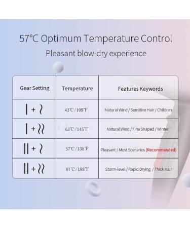 Faszin Ionic Hairdryer 2400W Super Fast Professional Hair Dryer Real Blow-Dry No Baking Dry Triple-L Plus Technology Heat Resistant with 4 Styling Diffusers Gray - Buy Online on GoSupps.com
