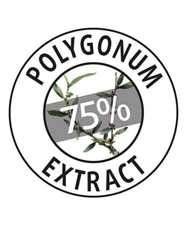 Moraz Polygonum Teenage Facial Cream - Oil-Free Moisturizer for Oily Skin | Lightweight Mattifying Face Cream 1.7 oz - Shop Now Globally - Buy Online on GoSupps.com